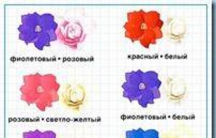 Клематисы и их сочетание с кустарниками Клематисы и плетистые розы вместе