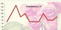 Как устроен бизнес по продаже свежесрезанных цветов в россии